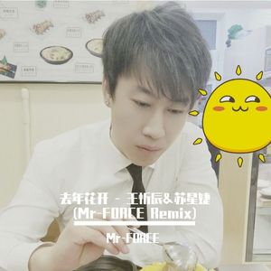 去年花开 - 王忻辰&苏星婕 (Mr-FORCE Remix)