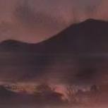 路过的一场风景