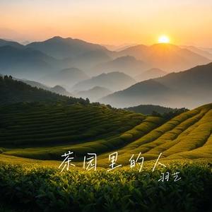 盼望回家的路