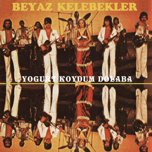 Yogurt Koydum Dolaba