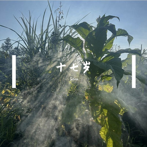 十七岁