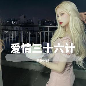 爱情三十六计（加速版）