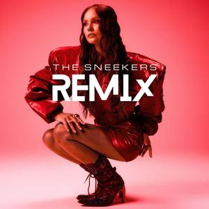 Vilko Akių (The Sneekers Remix)