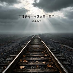 可能转身一次就会是一辈子
