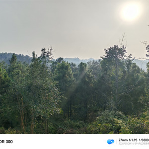 夕阳下的微醺时光