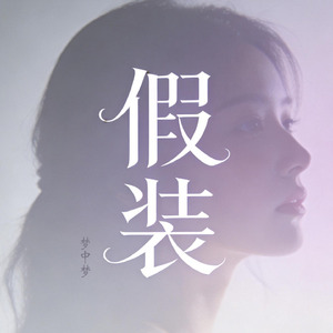 假装