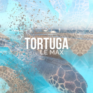 Tortuga