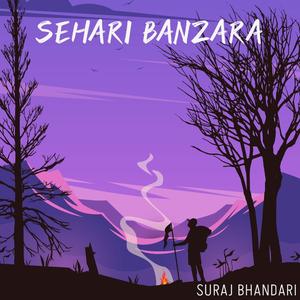 Sehari Banzara