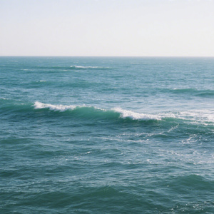 河畔的微风中会