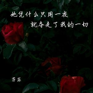 她凭什么只用一夜 就夺走了我的一切