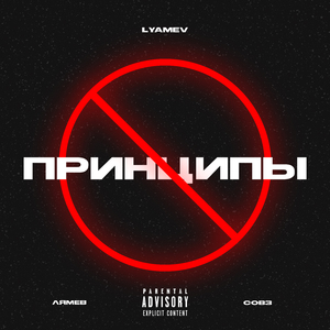ПРИНЦИПЫ