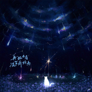 再一起去看流星雨好嗎