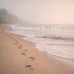 Footprints in Wet Sand