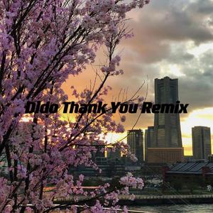 Dido-Thank you（AFang remix）
