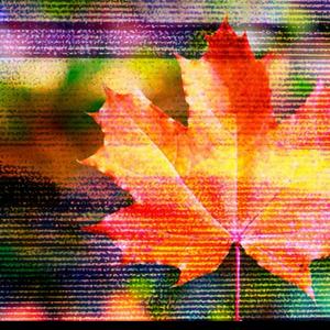 Rackin (feat. Fushi)