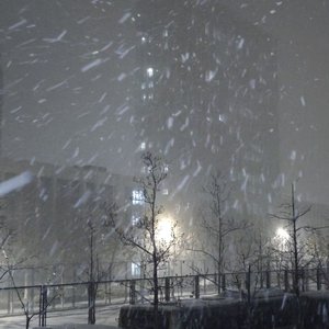 爱情冻结在这个冬