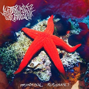 Fluidity of Malevolence