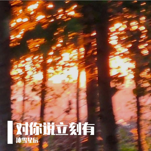 对你说立刻有（Prod.by Lisure）