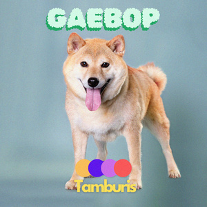 GaeBop (Radio Edit)