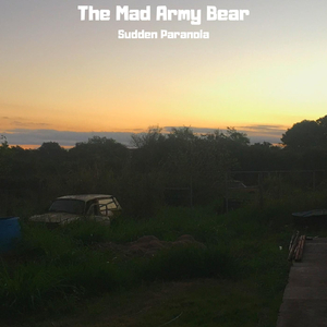 Sudden Paranoia