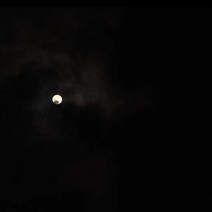 The warmth of November