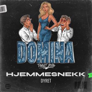 DOMINA 2026 (Hjemmesnekk)