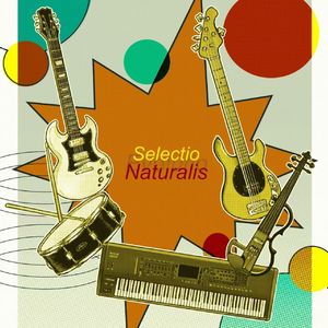 Evolutio Pt II: Selectio Naturalis