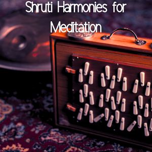 Shruti Box Harmonic Dream (Live)