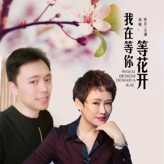 我在等你等花开