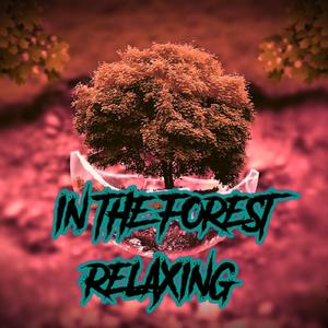 In the Forest Relaxing
