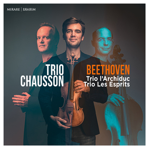 Piano Trio in D Major, Op. 70 No. 1 « Les Esprits »: II. Largo assai ed espressivo