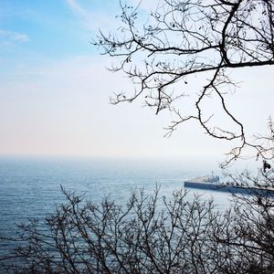 Lonely Day+Free Wing