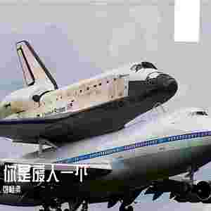 哈基米的生活你不要羡慕