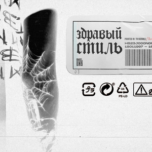 Здравый стиль