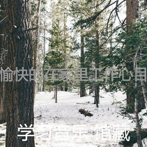 一尘不染专注印象数