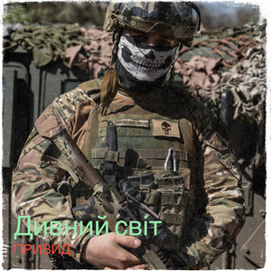 Дивний світ