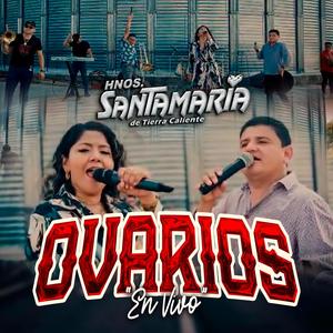 Ovarios