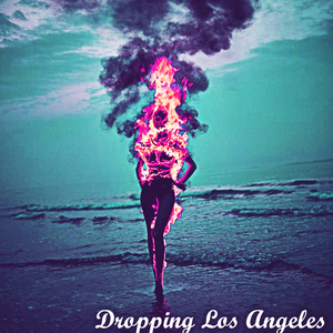 Dropping Los Angeles