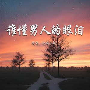 谁懂男人的眼泪