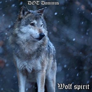 Embracing the wolf spirit