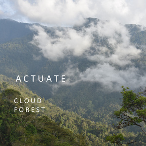 Cloud Forest