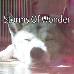 Downpour In The Garden