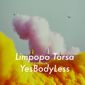 Limpopo Torsa