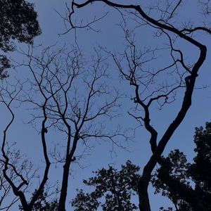 烟花pt.2(prod. ayoji)