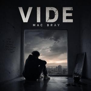 VIDE