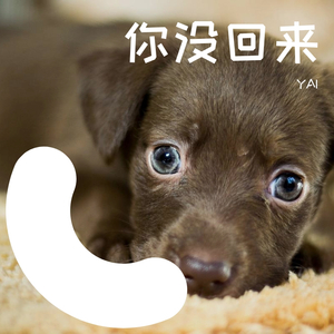 你没回来