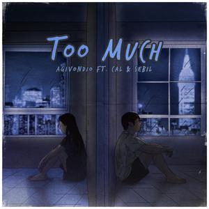 Too Much (feat. cal. & Sebil)
