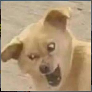 这个杀手不太冷静