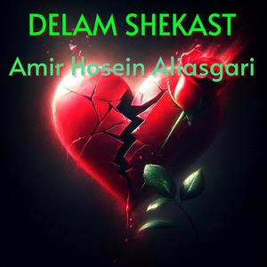 Delam Shekast