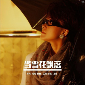 当雪花飘落